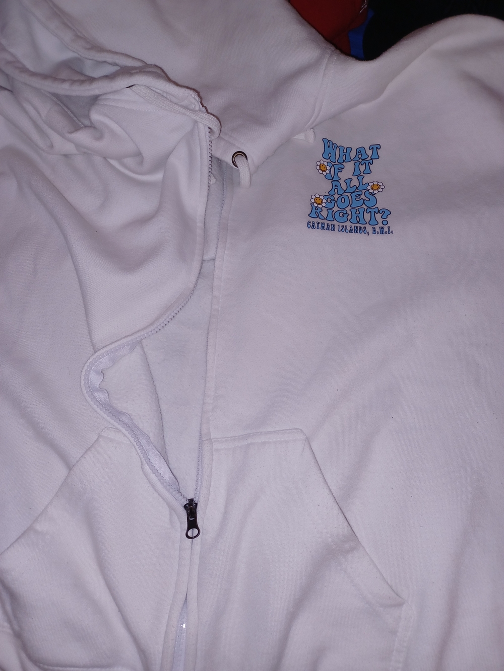 White Adult Zip-Up Hoodie with Blue Graphic